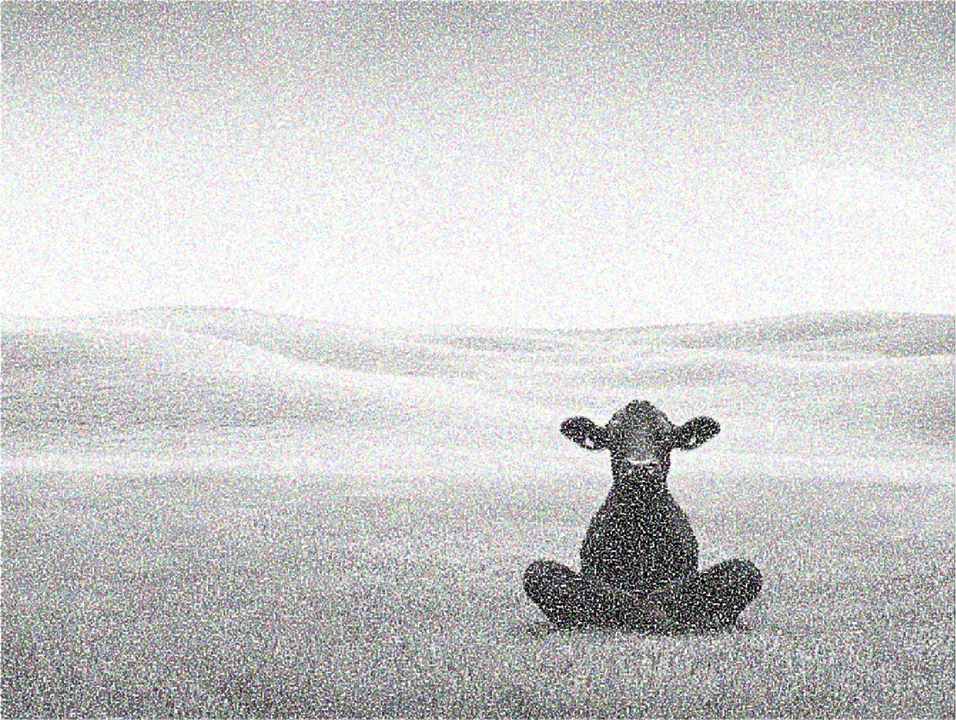 Enlightenment cow coat pattern record