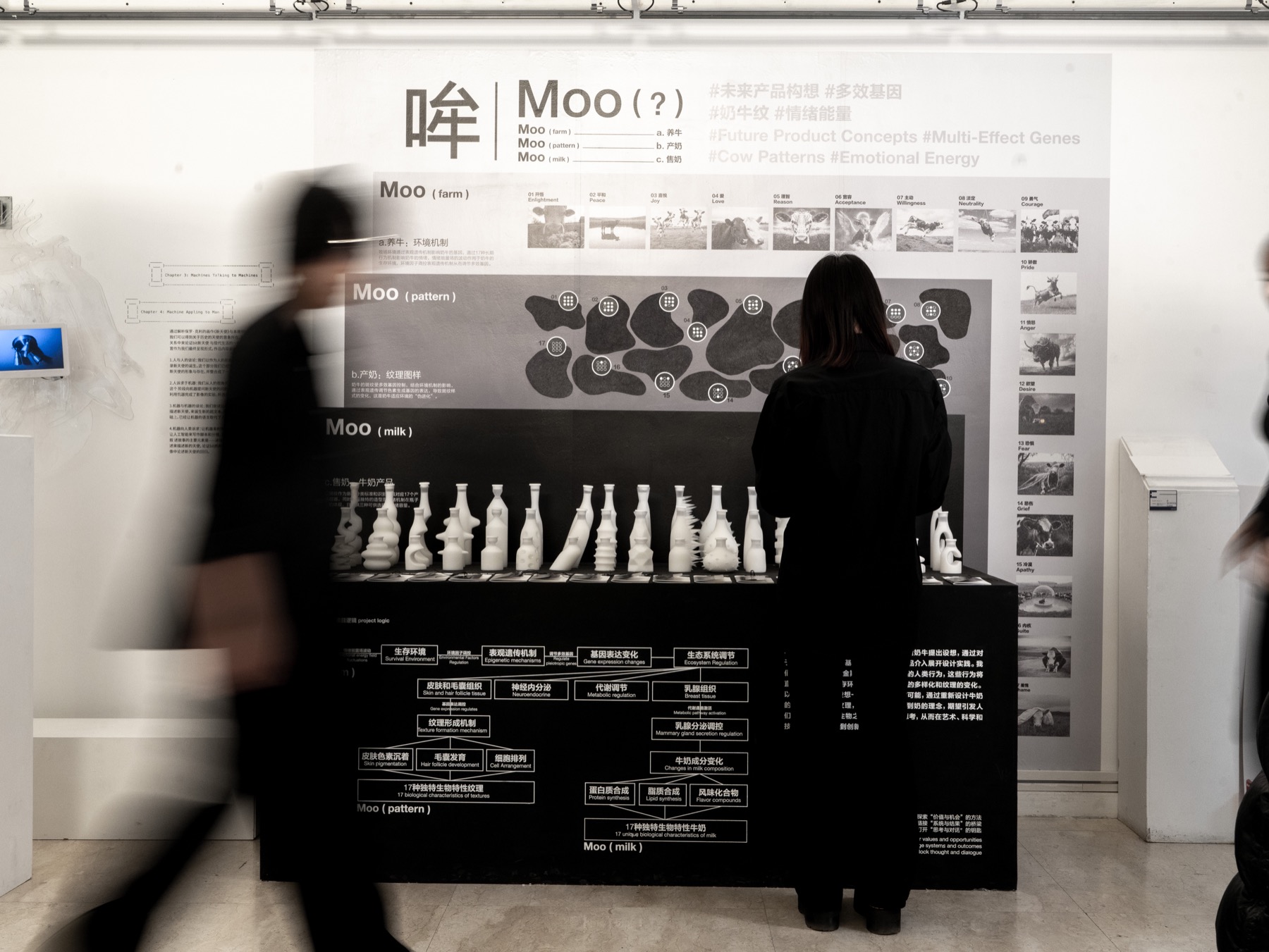 Visitors viewing the Moo exhibition