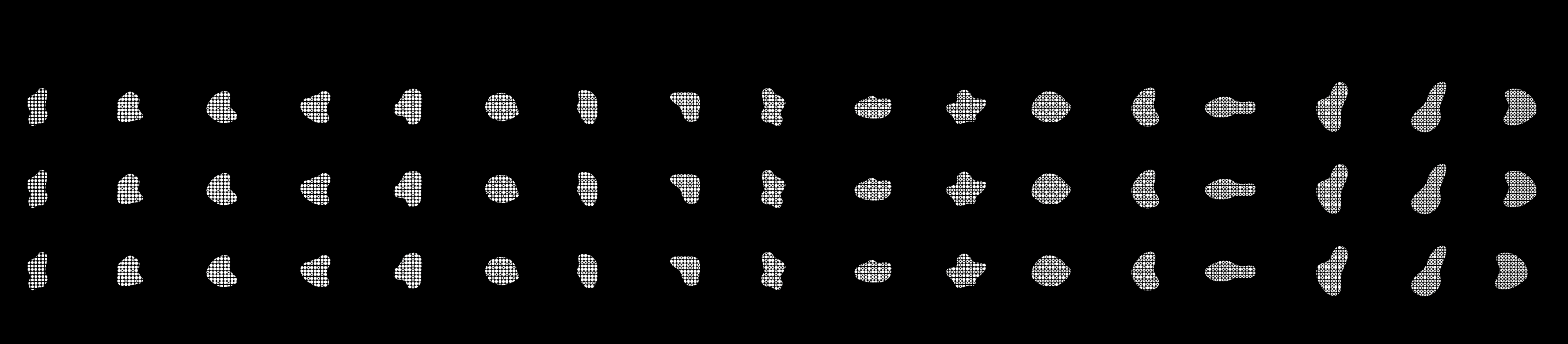 Seventeen patterned forms repeated in three rows on a black field